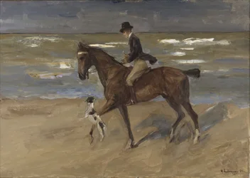 Ruiter op het Strand